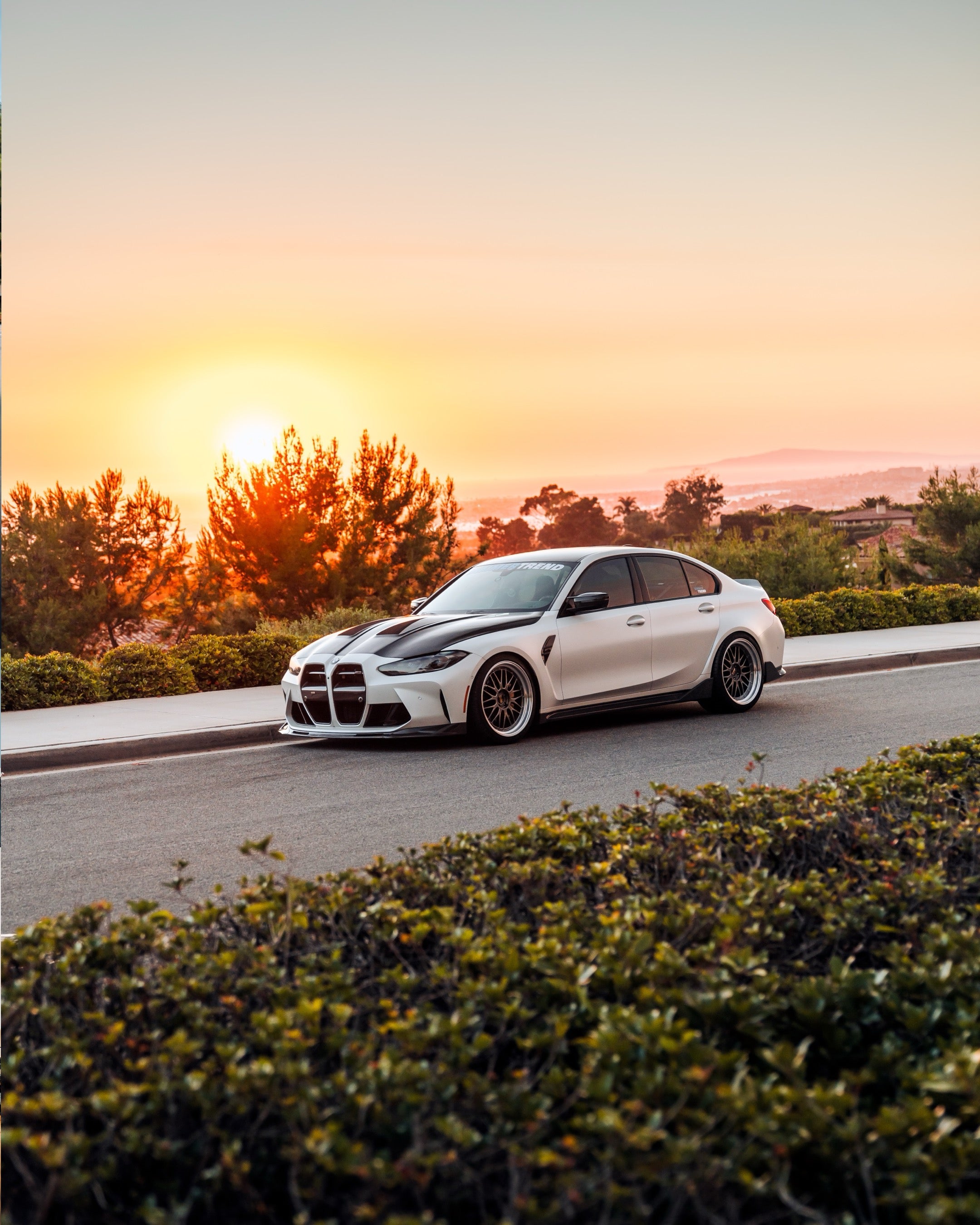 Build Your Dream Car Today!