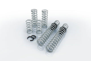 Eibach Pro-UTV 14-16 Polaris RZR XP 4 1000 EPS Stage 3 Performance Springs