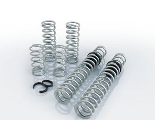Eibach Pro-UTV 2020 Polaris RZR Pro XP (2 Seat) Stage 2 Performance Springs